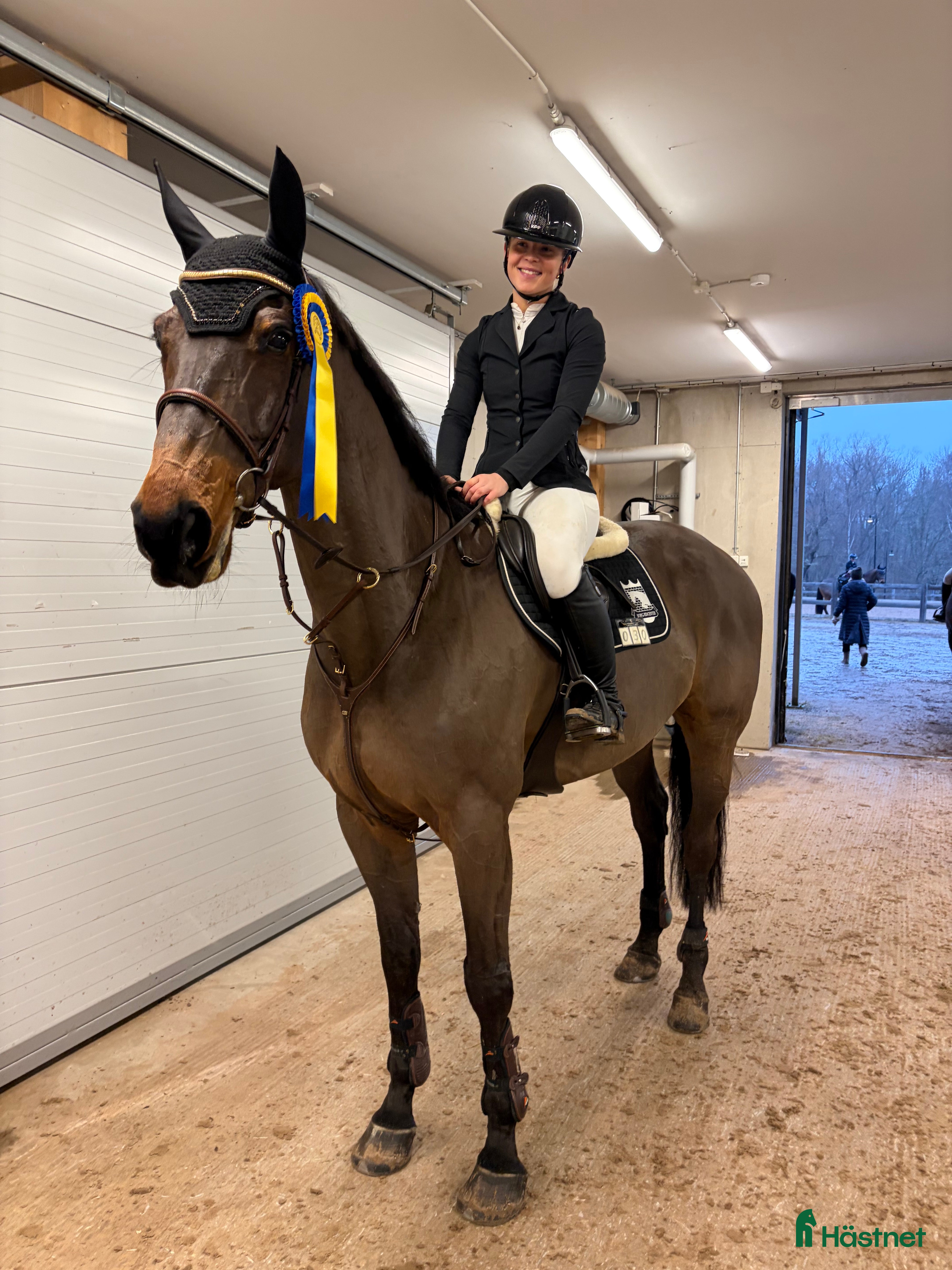  hästar Hopphäst / Allround - Annons 2