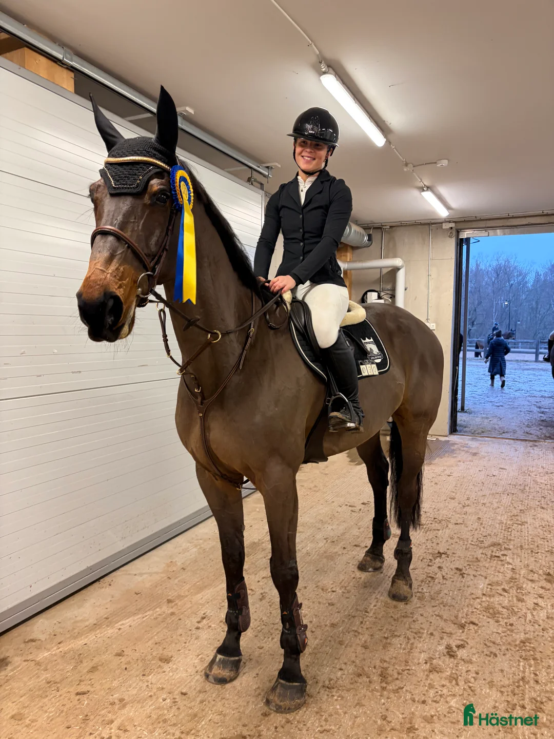 Hoppning hästar till salu: Hopphäst / Allround - Annons 2