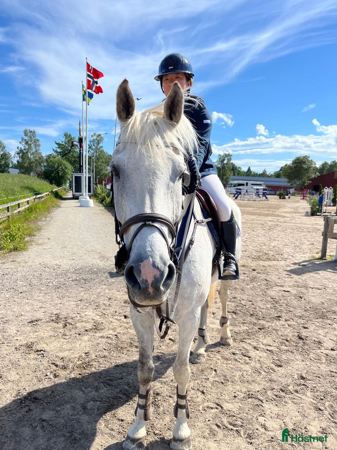 Hoppning hästar till salu: Stabil och erfaren läromästare i hoppning i Värnamo - Annons 3