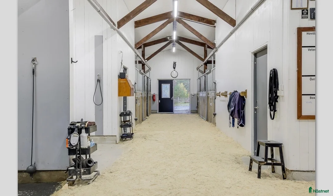  stallplats finnes: 🐴 Rehabplatser på Steninge By – Equiworks 🐴 i Rimbo - Annons 1