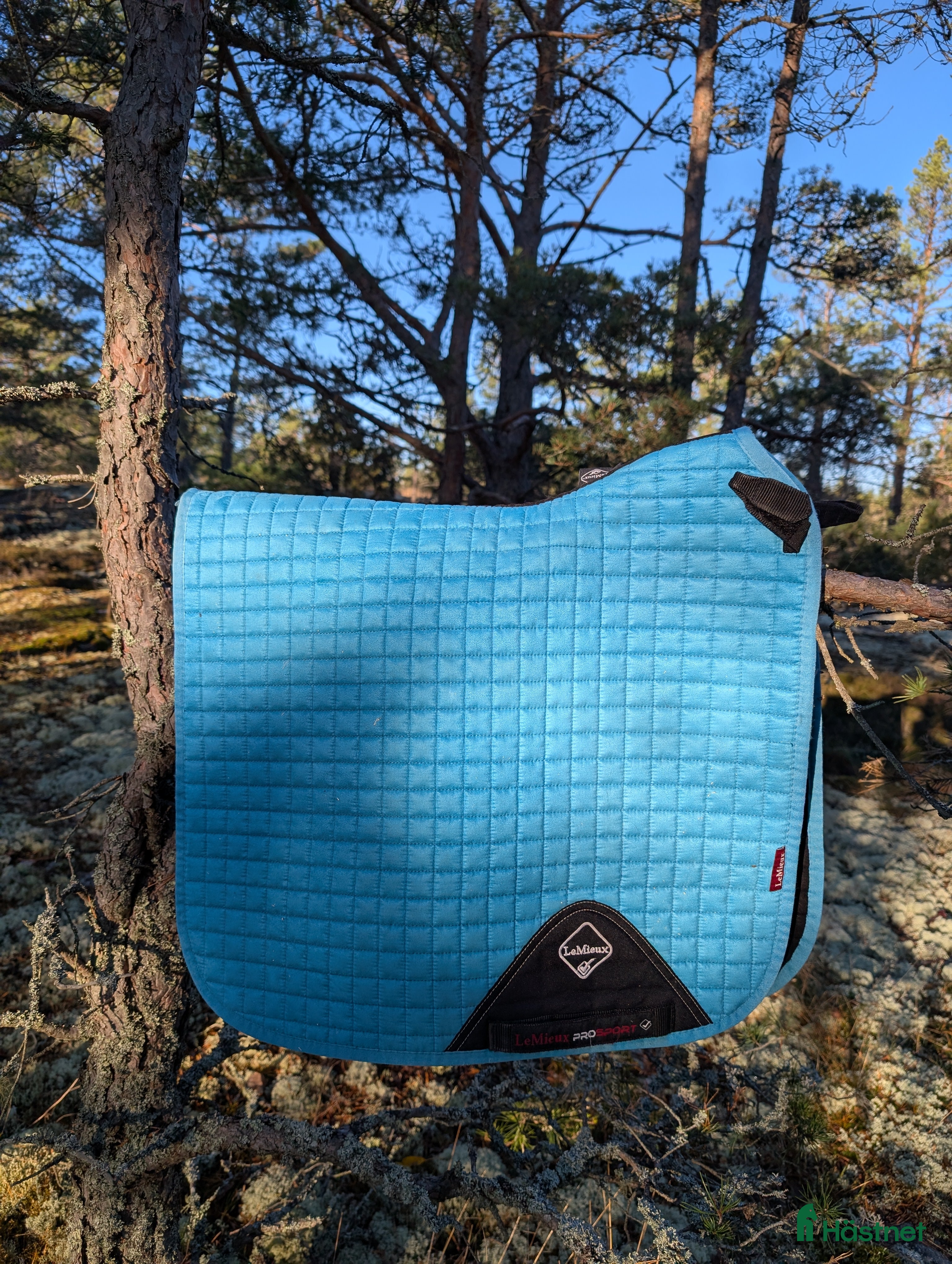 Schabrak & Vojlockar hästutrustning till salu: Le mieux schabrak  i Stenhamra - Annons 7