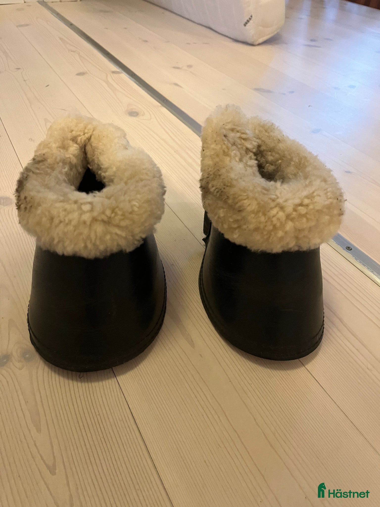 Benskydd hästutrustning Boots - Annons 2