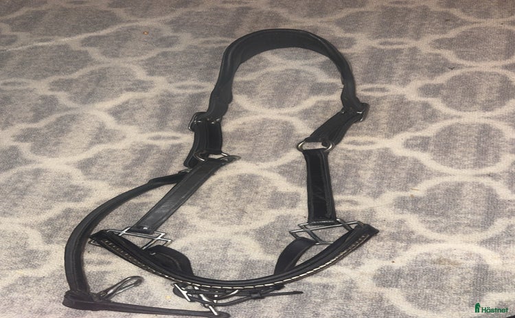 Övrig Hästutrustning hästutrustning till salu: Ps of sweden lädergrimma i Björklinge - Annons 16