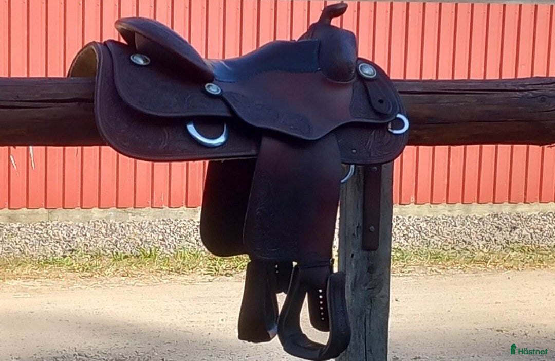 Sadlar hästutrustning Reiningsadel - Annons 5