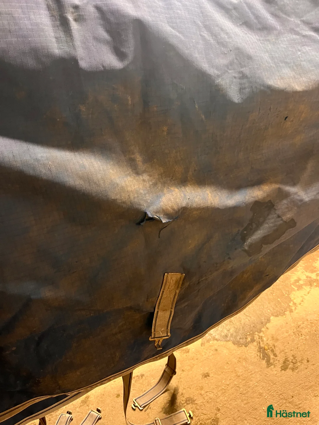 Täcken hästutrustning till salu: Vintertäcke från Bucas strl 155 i Borås - Annons 2