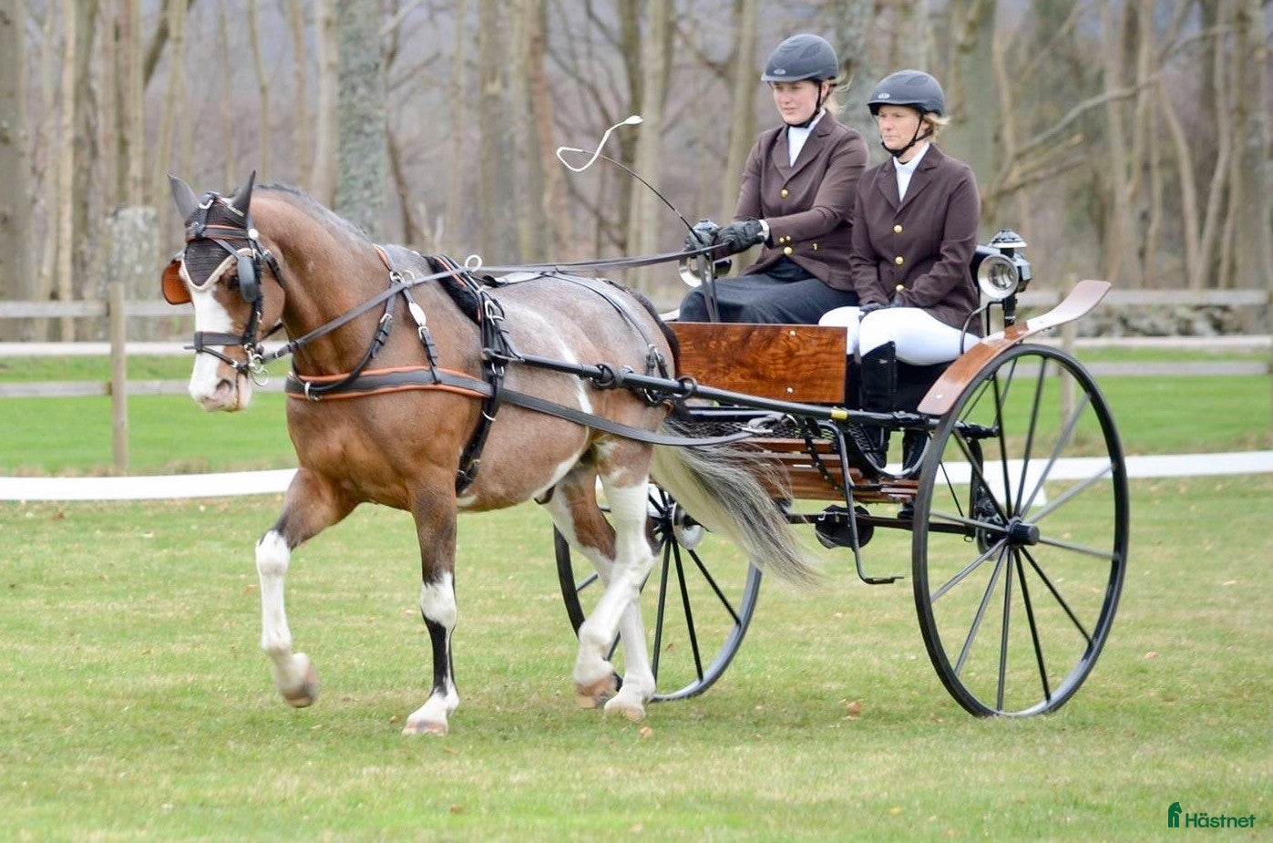 Körvagnar körning till salu: Gigg Dressyrvagn i Flyinge - Annons 10