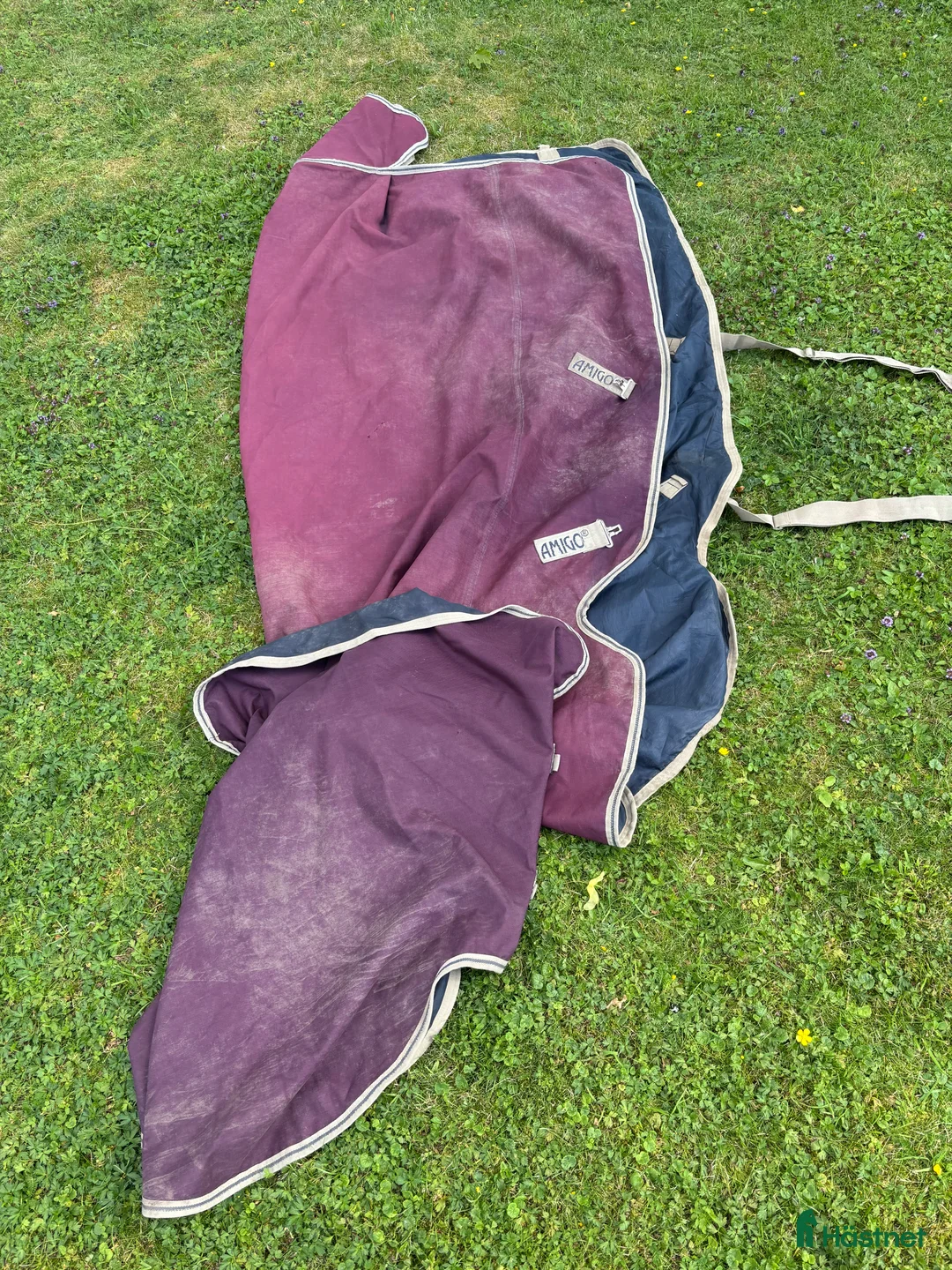 Täcken hästutrustning till salu: Amigo regntäcke säljes 0 g stl 155 i Uppsala - Annons 1