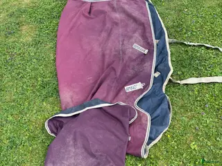 Täcken hästutrustning Amigo regntäcke säljes 0 g stl 155 - Annons 2