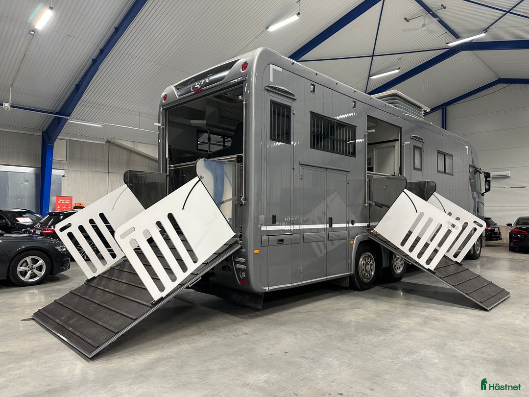 Hästlastbilar  fordon & transport till salu: Scania Stephex STX S500 Hästlastbil / Pop-X2 / i Eslöv - Annons 5