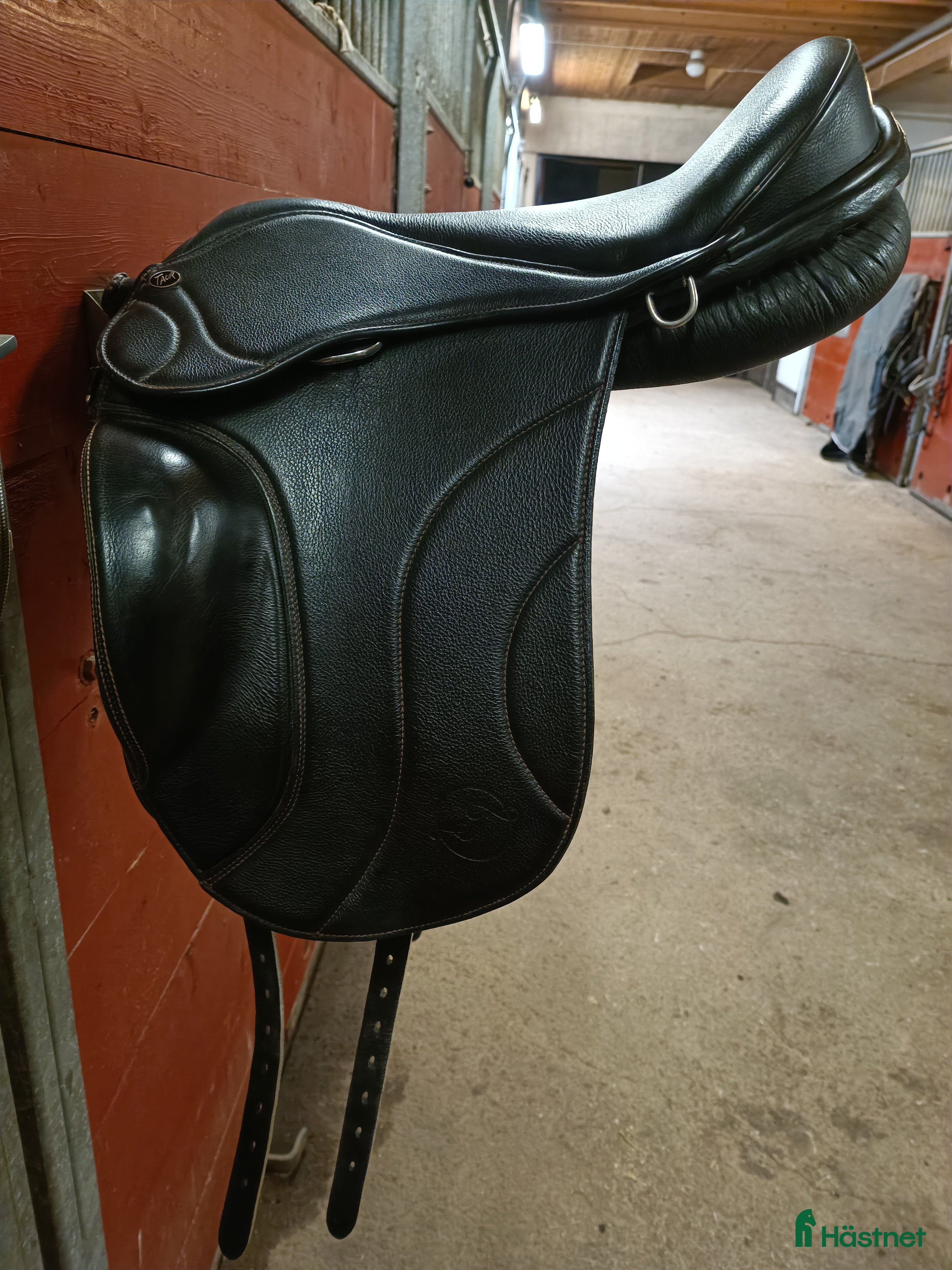 Sadlar hästutrustning till salu: Taur Gaiter Dressage V1 i Österbybruk - Annons 18