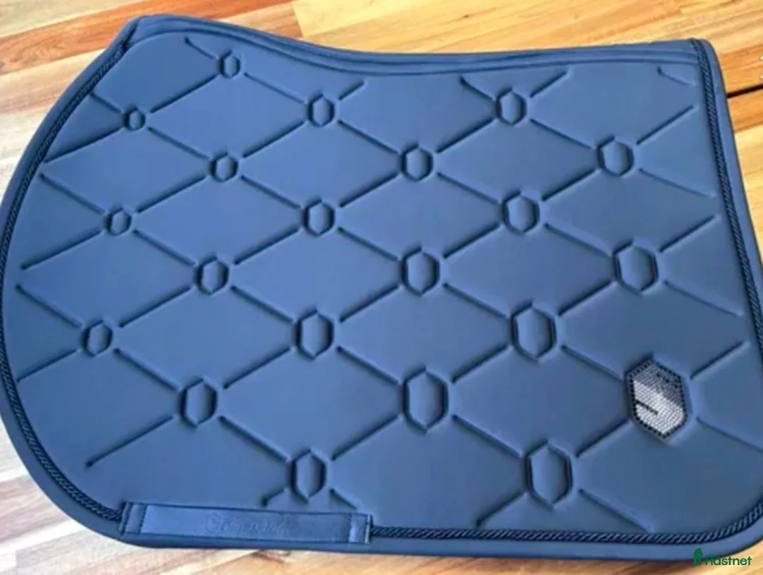 Schabrak & Vojlockar hästutrustning till salu: Samshield Spineshield Full - Annons 2