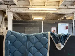 Schabrak & Vojlockar hästutrustning Equestrian Stockholm set - Annons 14