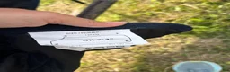 Täcken hästutrustning till salu: Täcken storlek 135, 140 och 145 - Annons 8