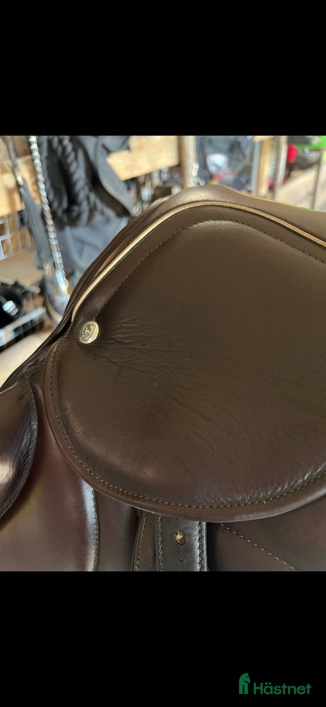 Sadlar hästutrustning till salu: Superfin enkelkåpad hoppsadel! i Svenljunga - Annons 7