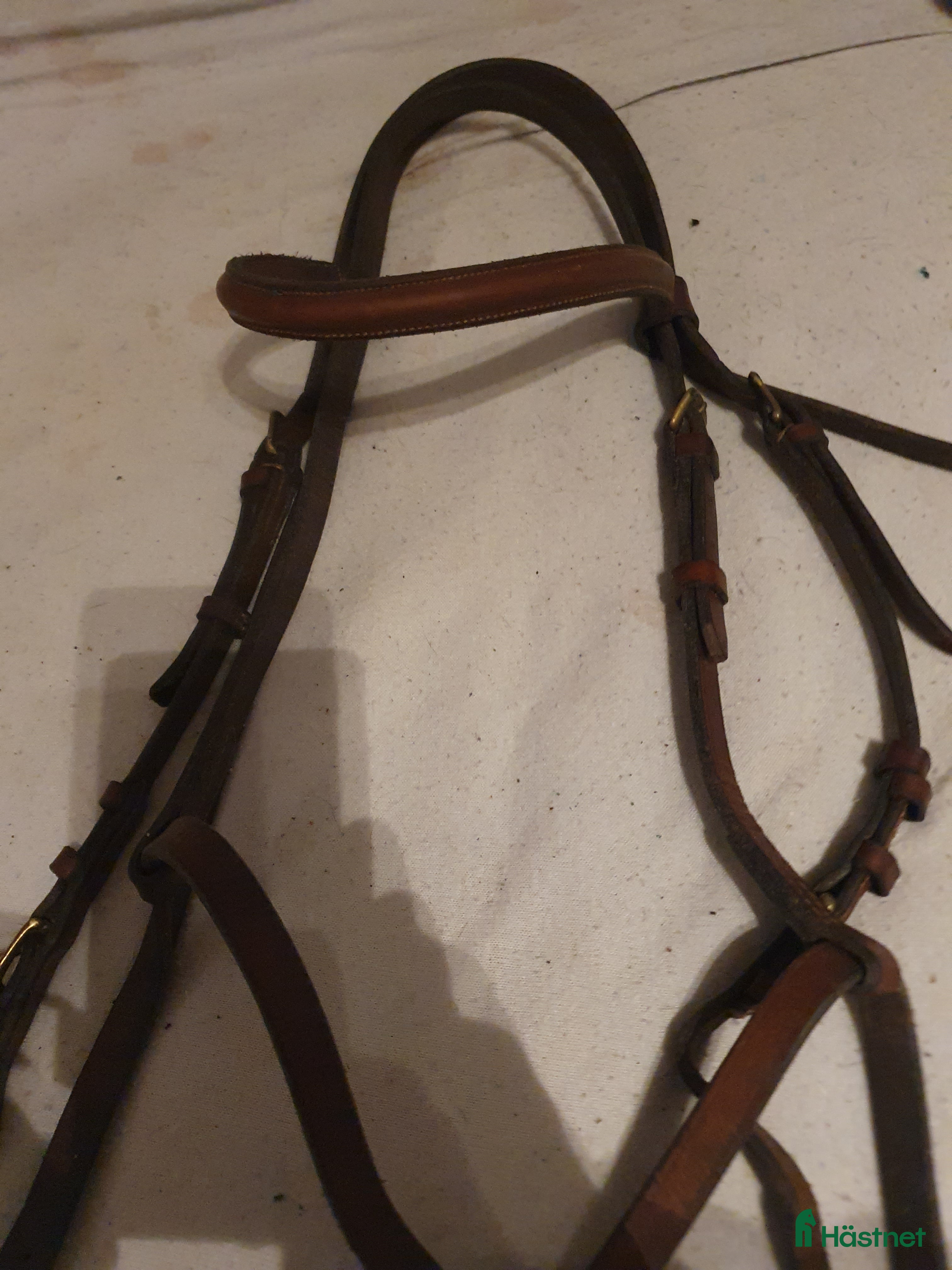 Träns hästutrustning till salu: Brunt träns i Herrljunga - Annons 1