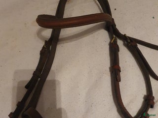 Träns hästutrustning till salu: Brunt träns i Herrljunga - Annons 4