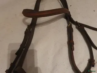 Träns hästutrustning Brunt träns i Herrljunga - Annons 3