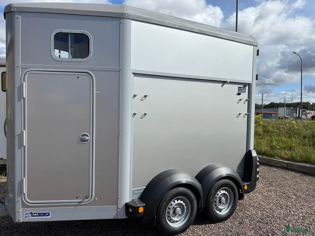 Hästtransporter  fordon & transport till salu: Ifor William HB 403 - Annons 8