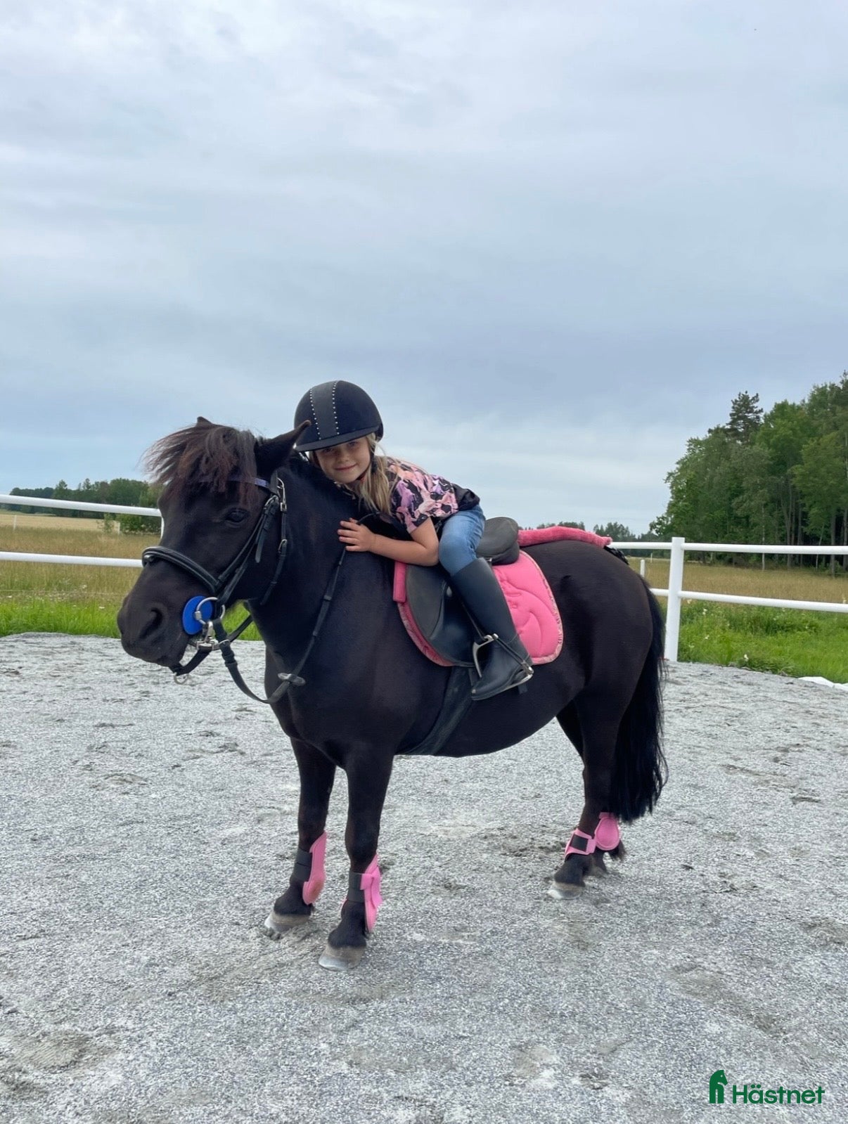  hästar ❣️ Världens bästa, trygga Löken ❣️ - Annons 1