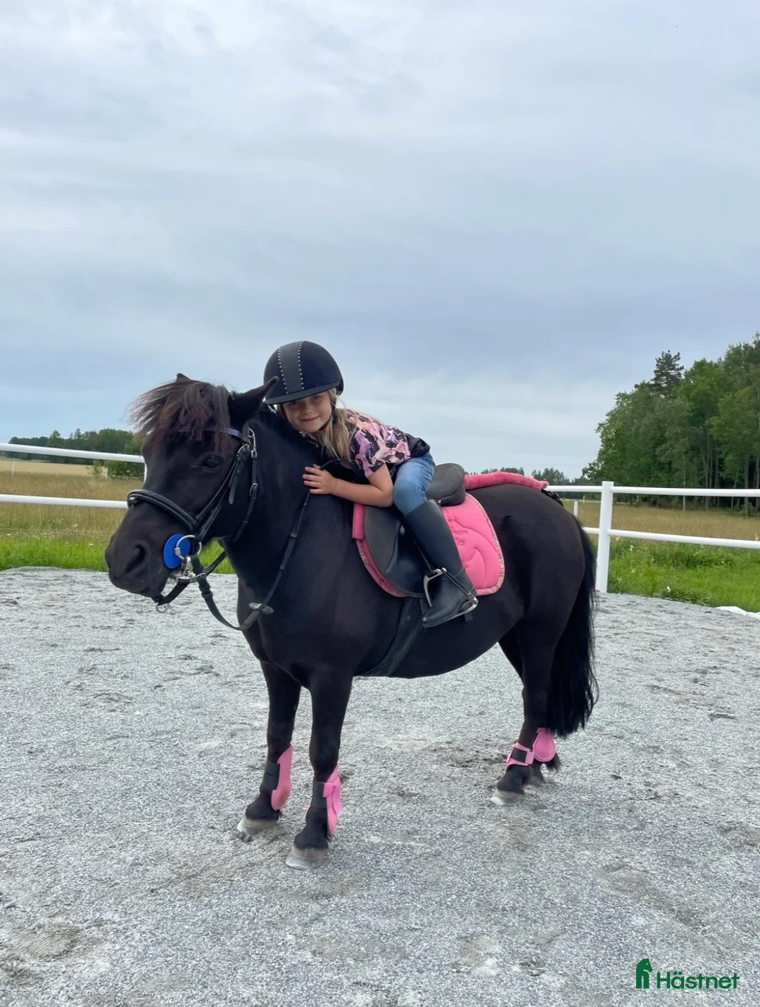 Allround hästar till salu: ❣️ Världens bästa, trygga Löken ❣️ - Annons 1