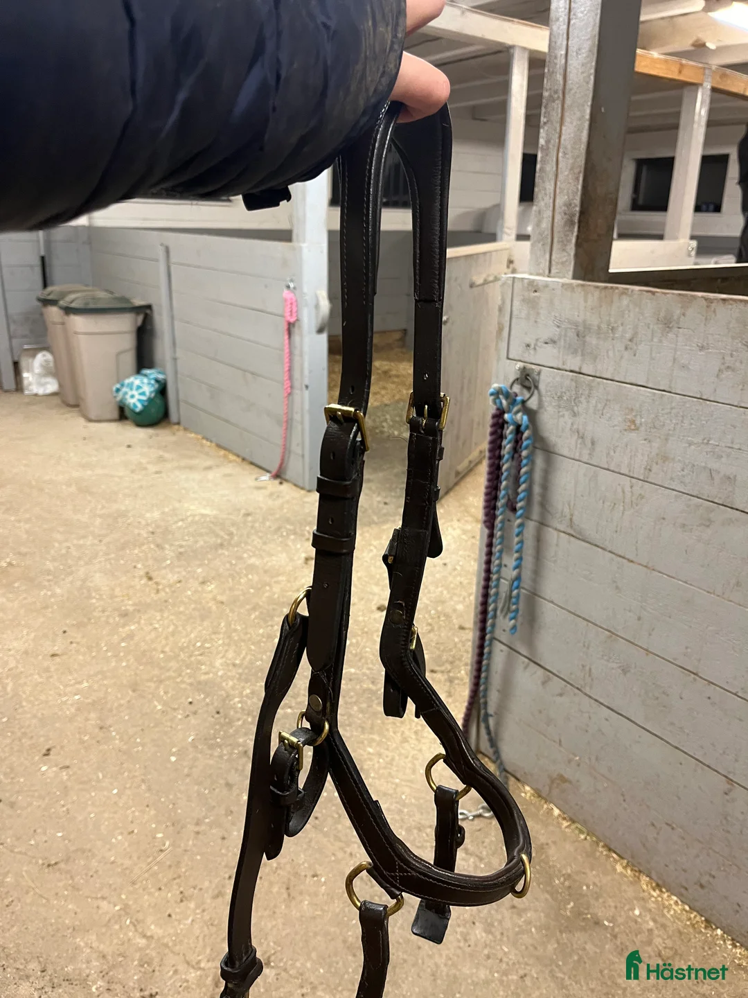 Träns hästutrustning till salu: Brunt miclemträns i Landsbro - Annons 1