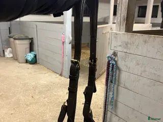 Träns hästutrustning Brunt miclemträns i Landsbro - Annons 9