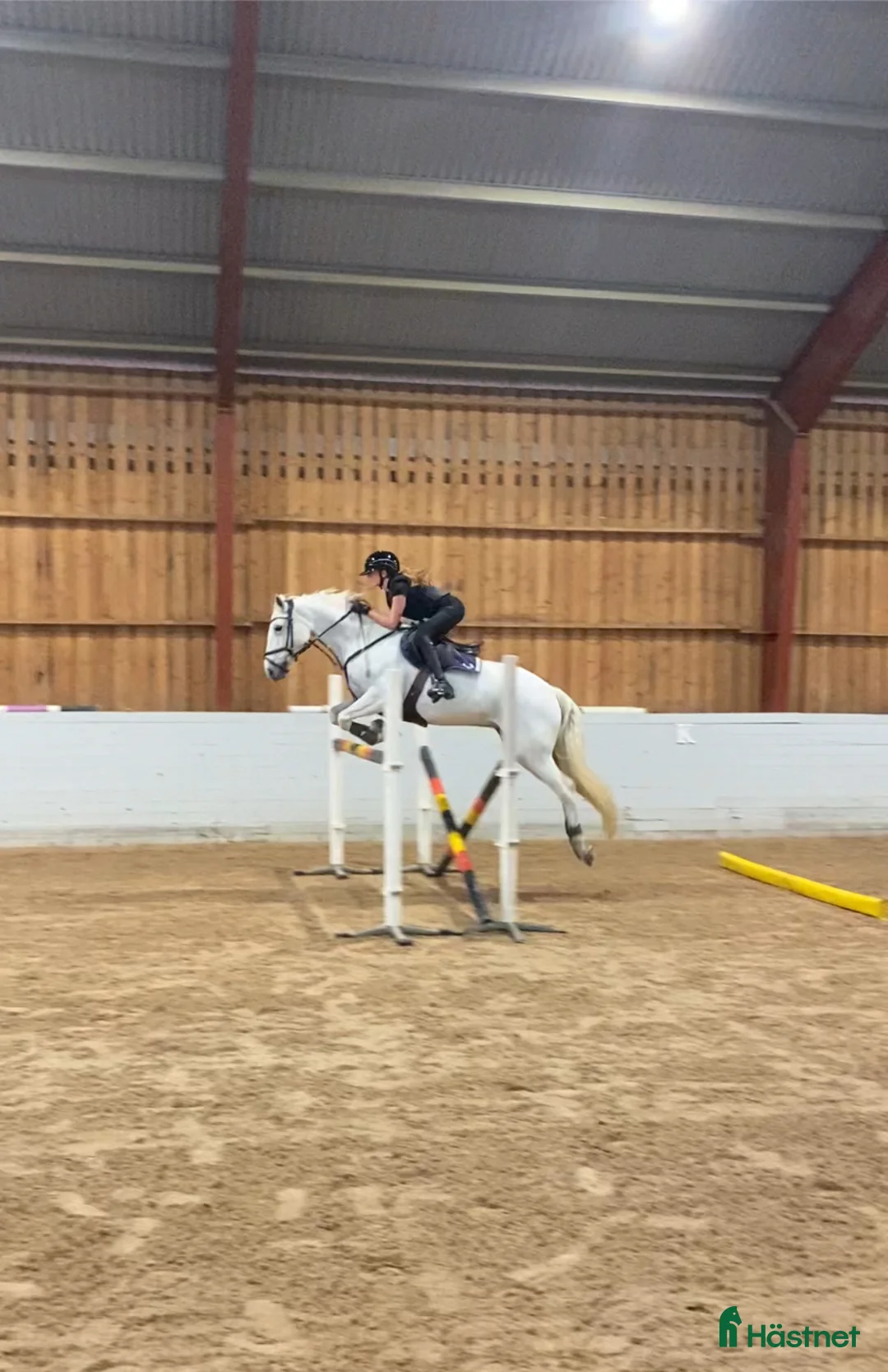 Hoppning hästar till salu: Fin D-ponny, sto, född 2011, 148 cm  - Annons 2