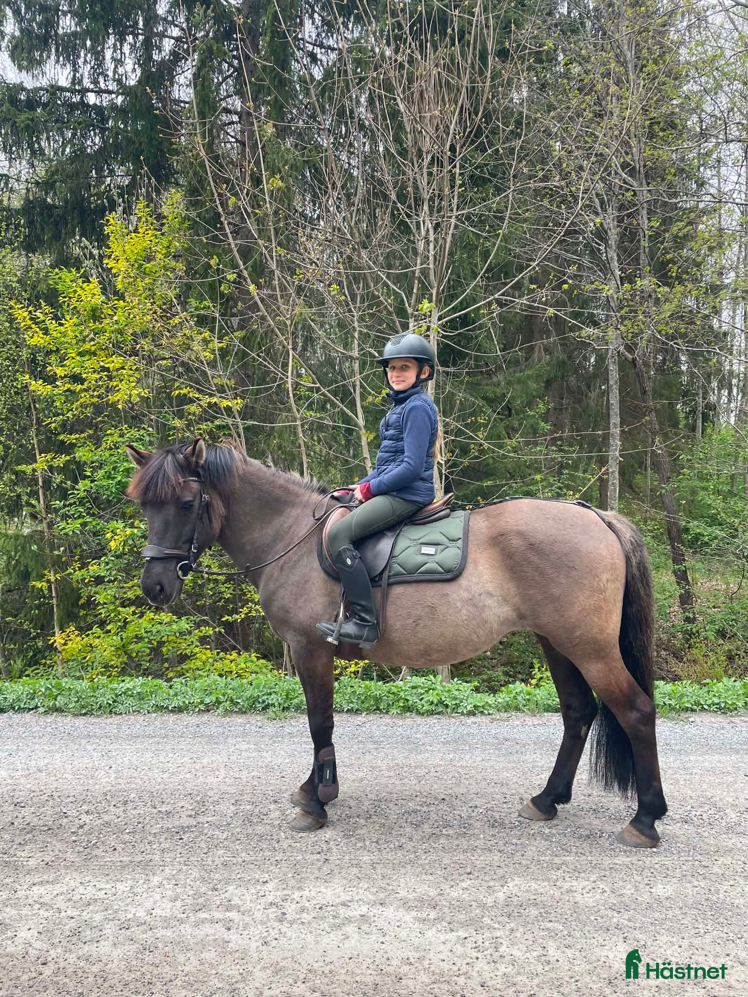  hästar Intressekoll på allround ponny🌸 - Annons 17