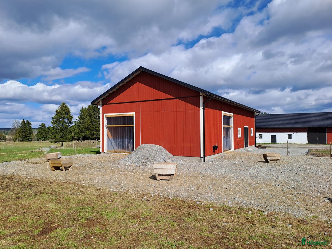  stallplats finnes: Lösdrift Häst - ung som gammal - blandflock i Bro - Annons 5