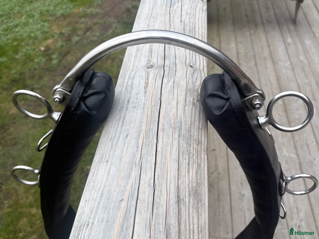Övrig Hästutrustning hästutrustning till salu: Tömkörningsgjord - Annons 2