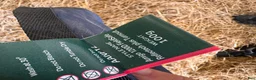 Täcken hästutrustning till salu: Horseware utetäcken - Annons 3