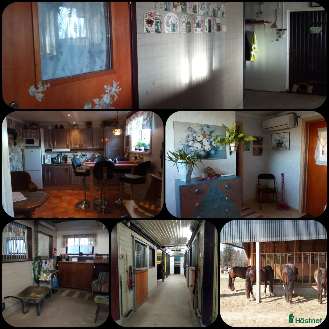  stallplats finnes: Stort stall Träningsbana  uthyres säffle - Annons 2