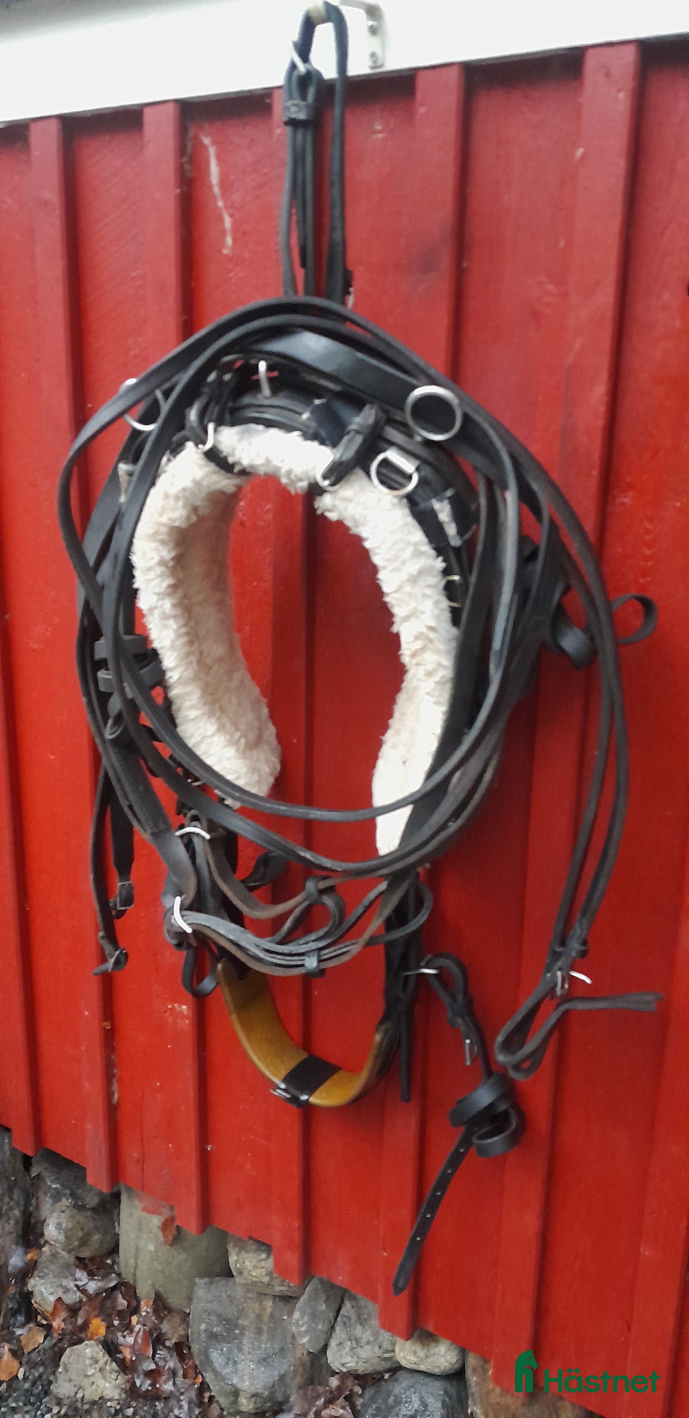 Travselar trav till salu: Trav Remsele Huvudlag Tömmar  i Sorunda - Annons 1