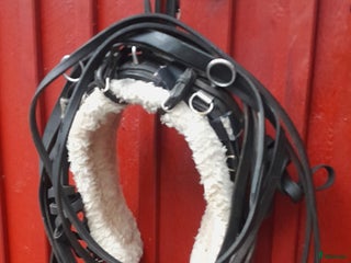 Travselar trav till salu: Trav Remsele Huvudlag Tömmar i Sorunda - Annons 1