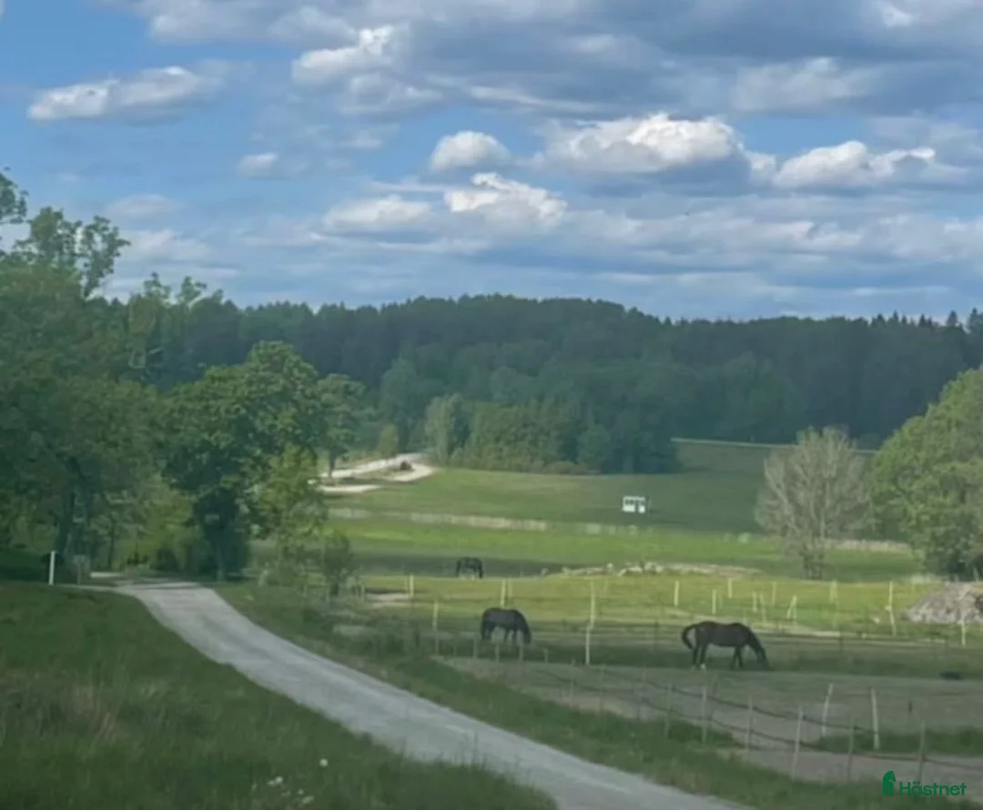  hästservice finnes: Hästhotell - Annons 1