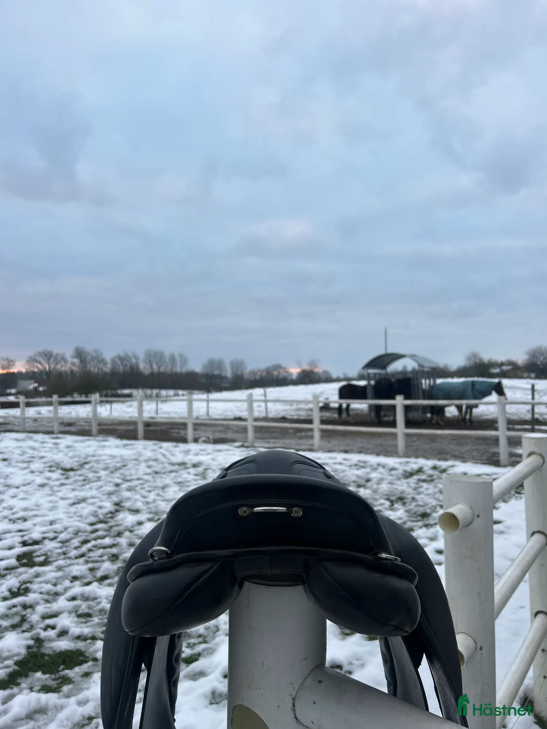 Sadlar hästutrustning till salu: Trainer’s Dressyr/islands sadel  i Kristianstad - Annons 6