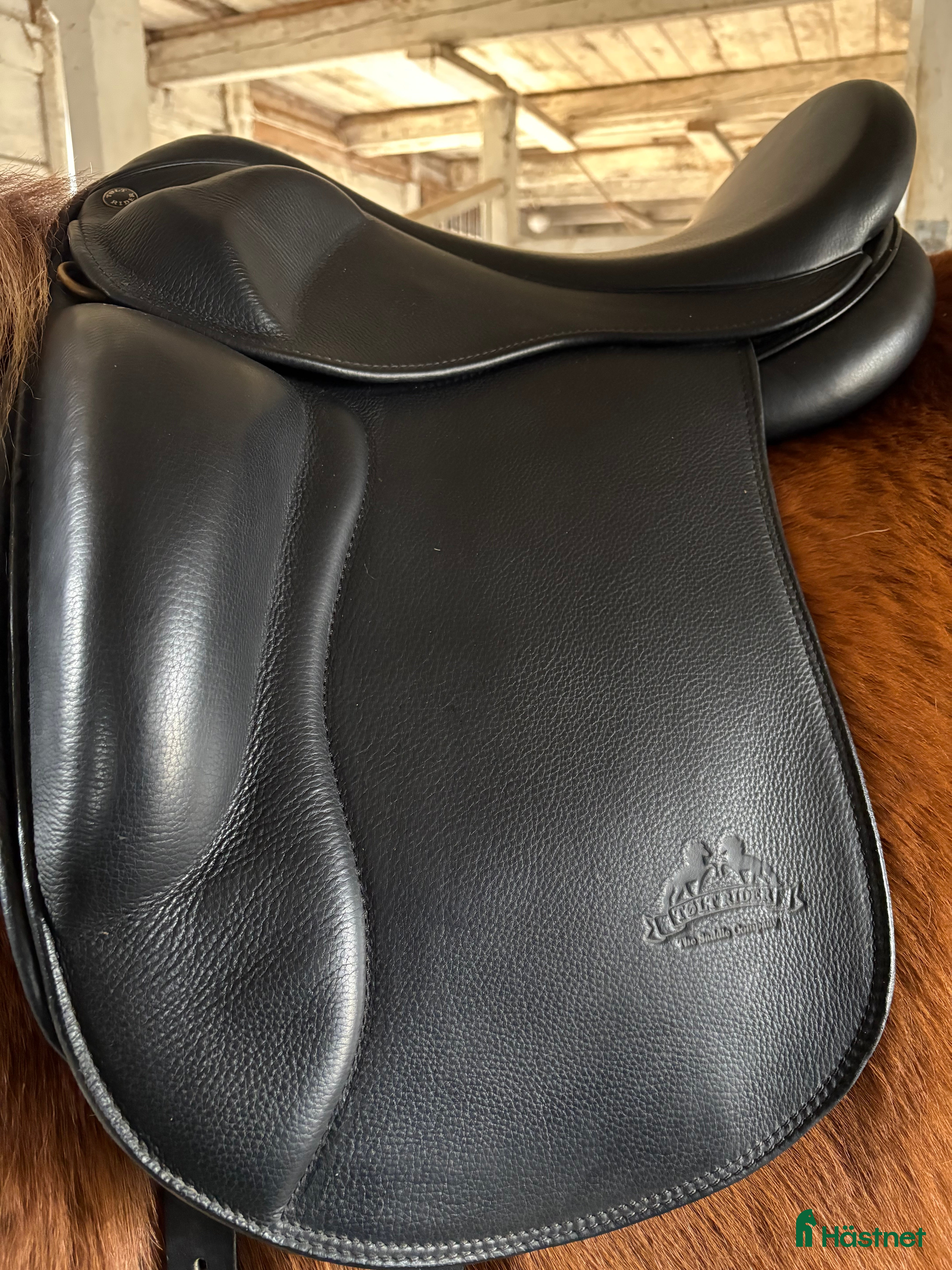 Sadlar hästutrustning Mycket fin Töltrider Glampi sadel - Annons 2