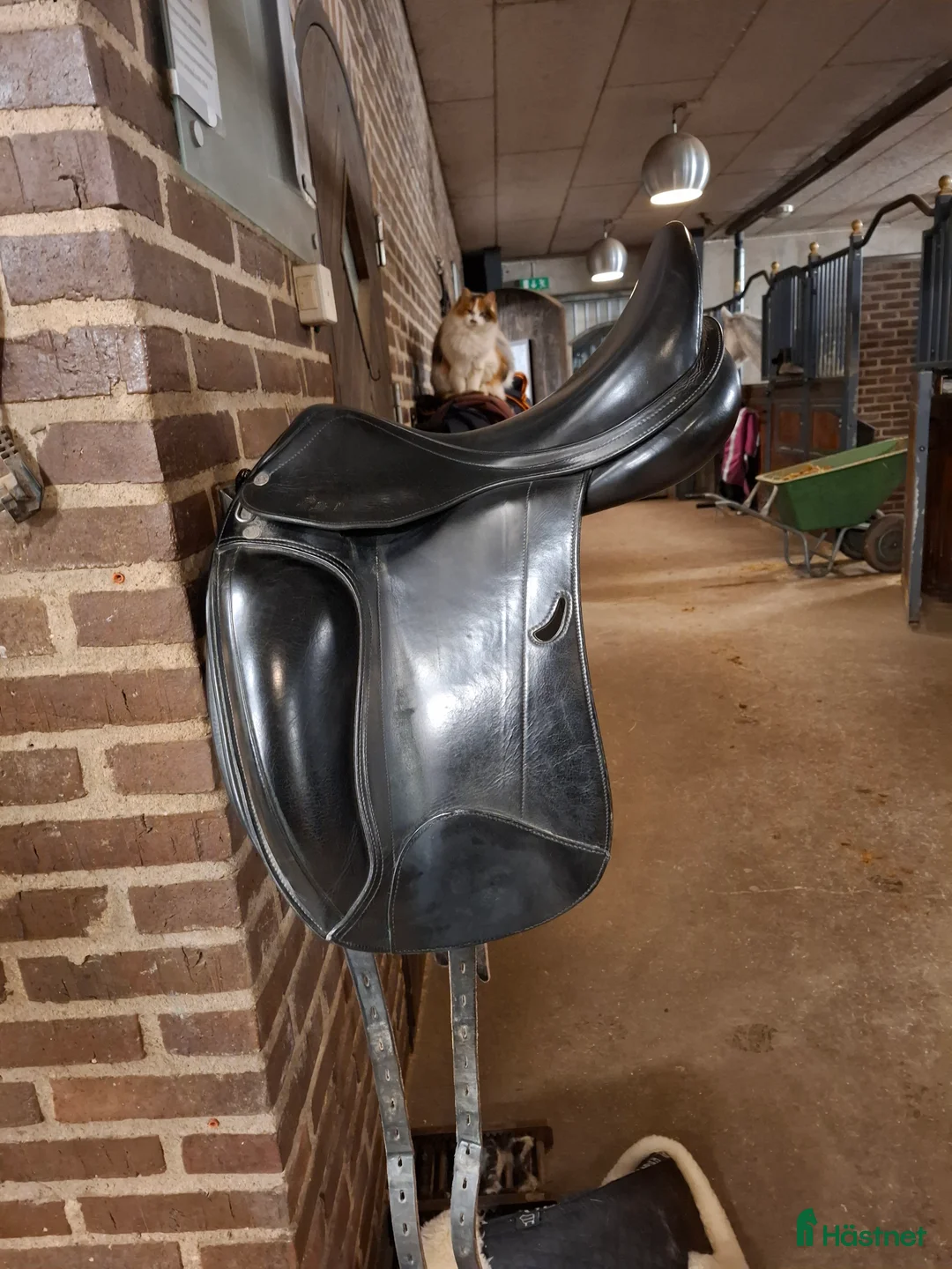 Sadlar hästutrustning till salu: Dressyrsadel Equipe Emporio  i Växjö - Annons 2