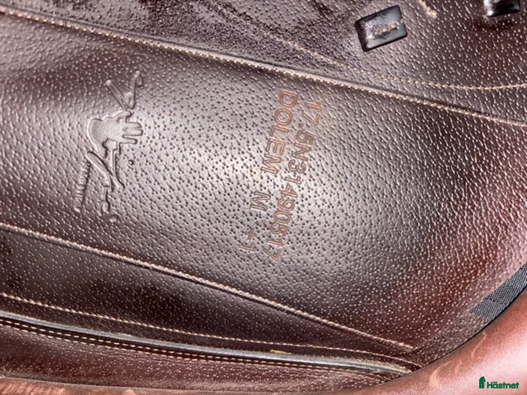 Sadlar hästutrustning till salu: Equipe sadel  - Annons 4