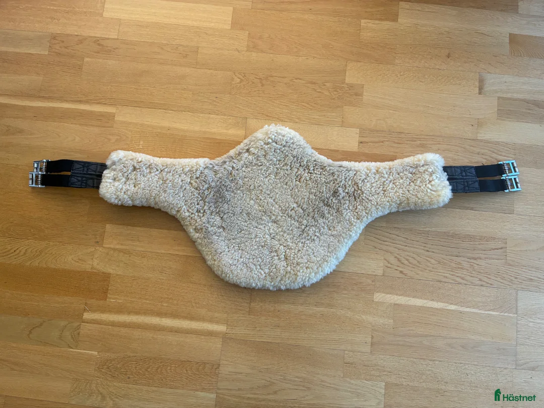 Sadeltillbehör hästutrustning till salu: Mattes hoppgjord 125 - Annons 2