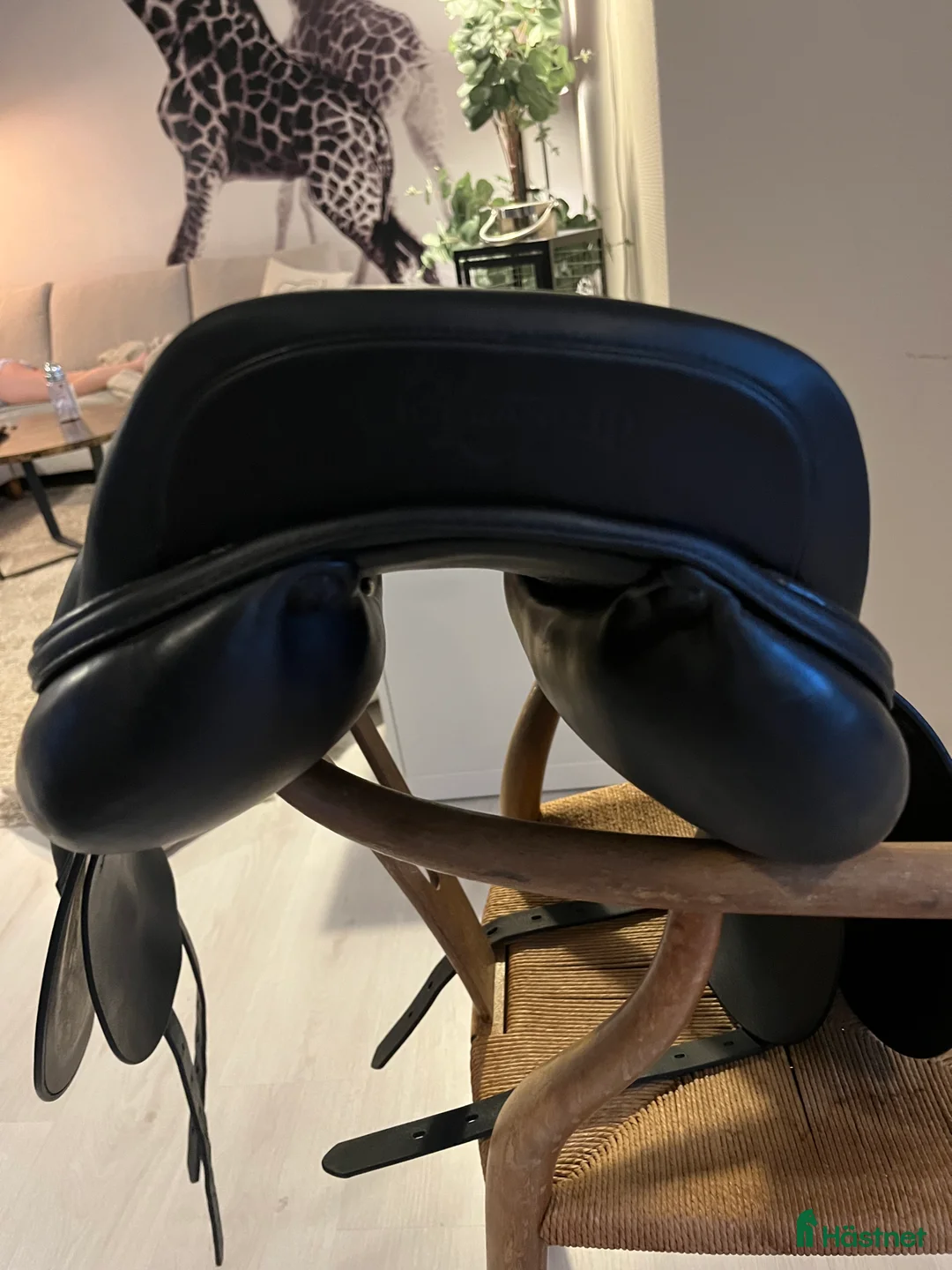 Sadlar hästutrustning till salu: Prestige D1 iceland i Kolbäck - Annons 5