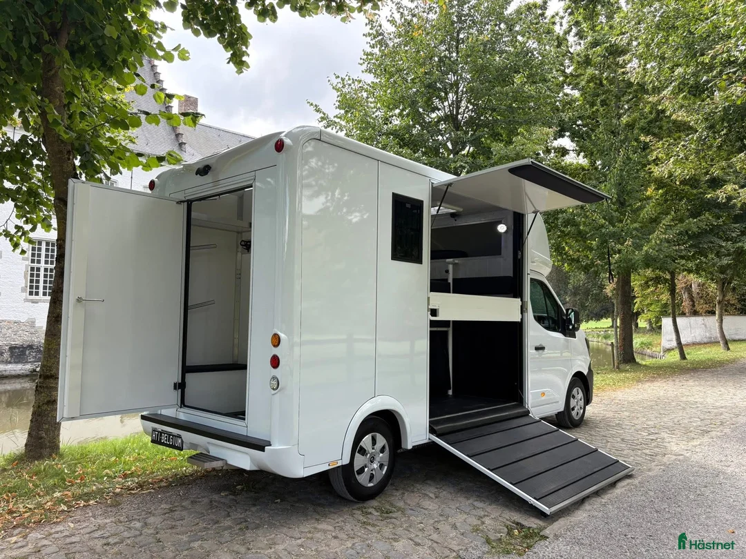 Hästlastbilar  fordon & transport till salu: Lehel 2 hästars classic  i Teckomatorp - Annons 6