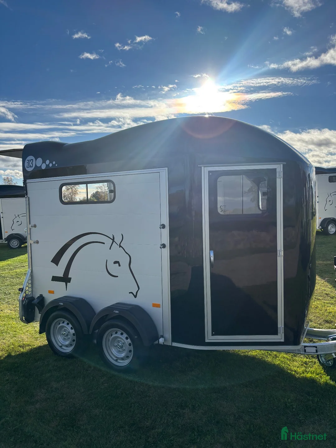 Hästtransporter  fordon & transport till salu: Cheval GOLD3  - Annons 2