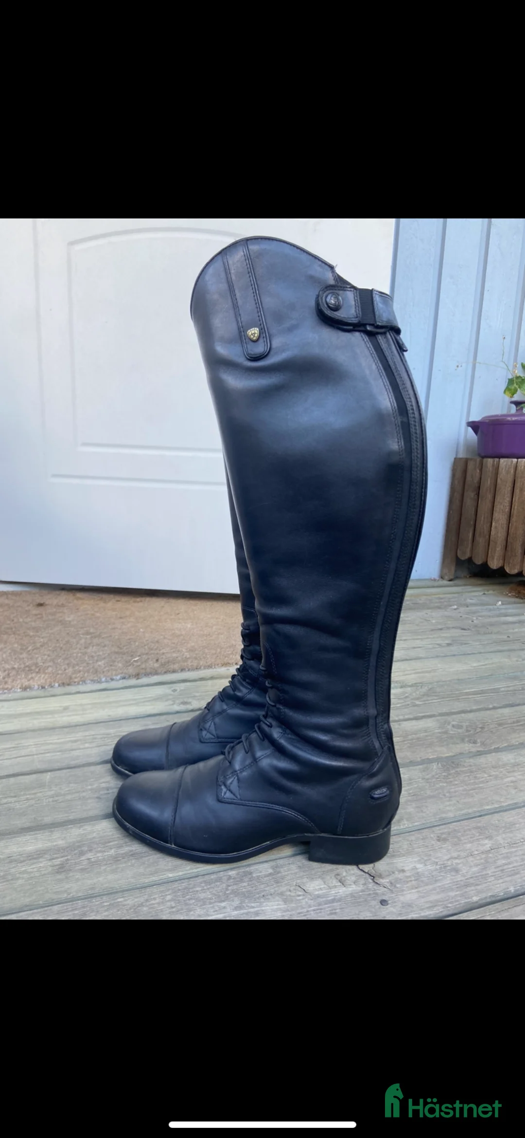 Ridstövlar ryttarutrustning till salu: Ariat Ridstövlar  - Annons 1
