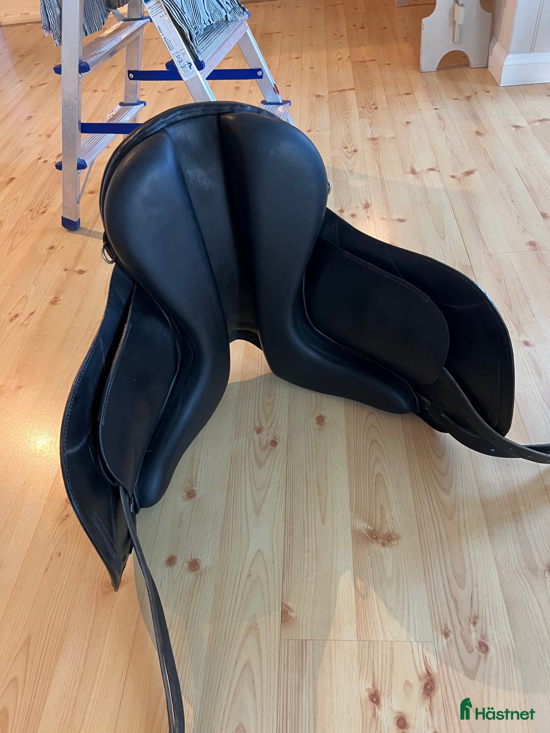 Sadlar hästutrustning till salu: Taur Gaiter Dressage V2 i Undersåker - Bild 6