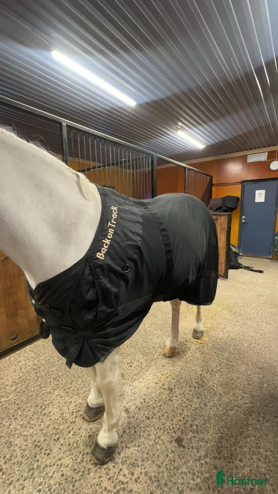 Täcken hästutrustning till salu: Back on track nättäcke storlek 135 i Boden - Annons 1