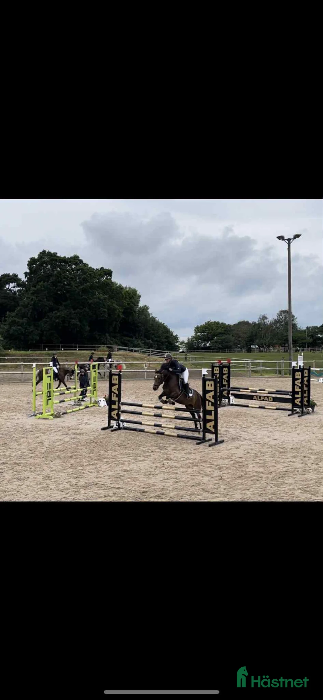 Hoppning hästar till salu: Hoppglad Connemara i Staffanstorp - Annons 3