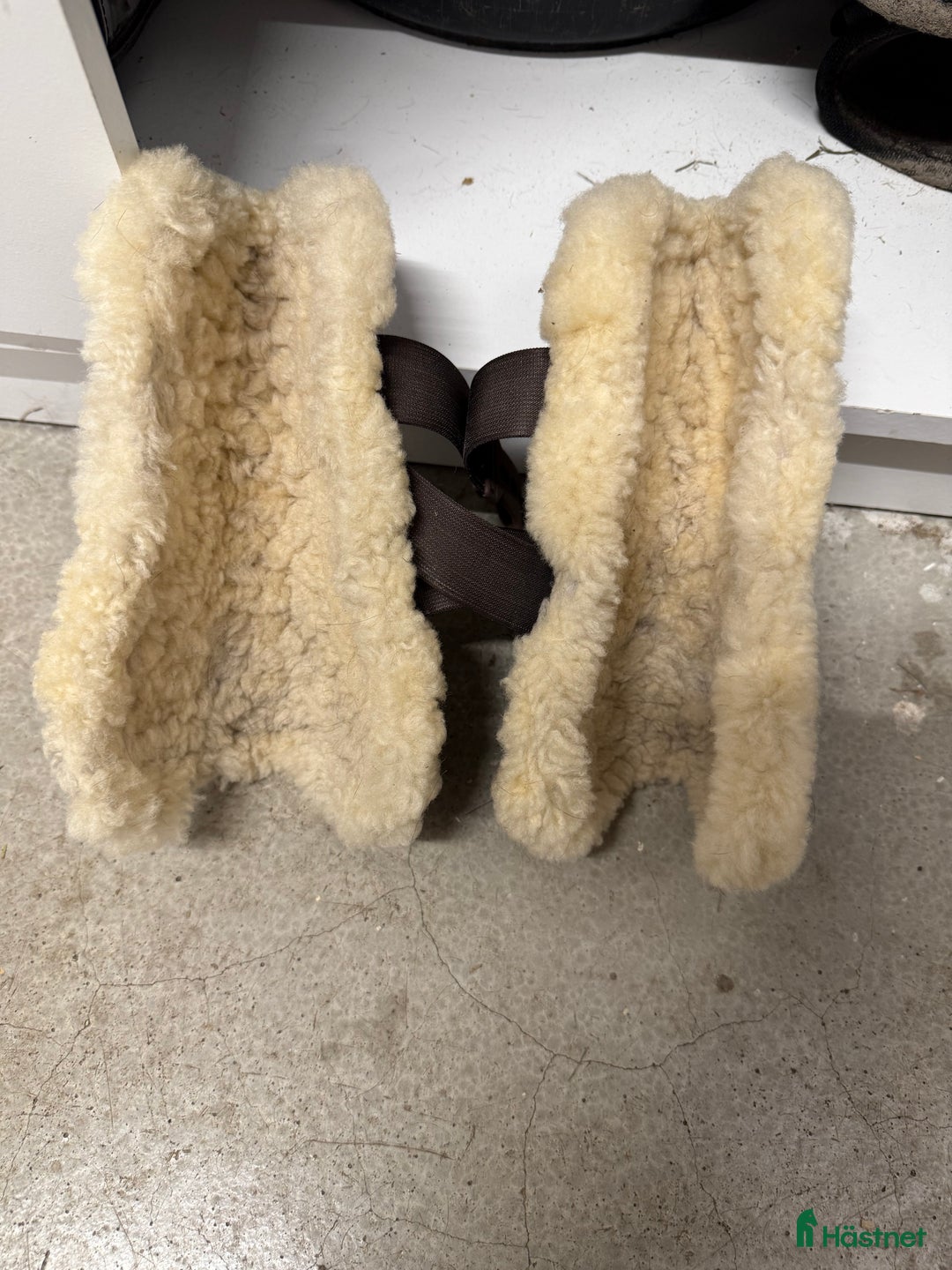 Benskydd hästutrustning till salu: Zandona Fluffskydd i Edsbruk - Annons 4