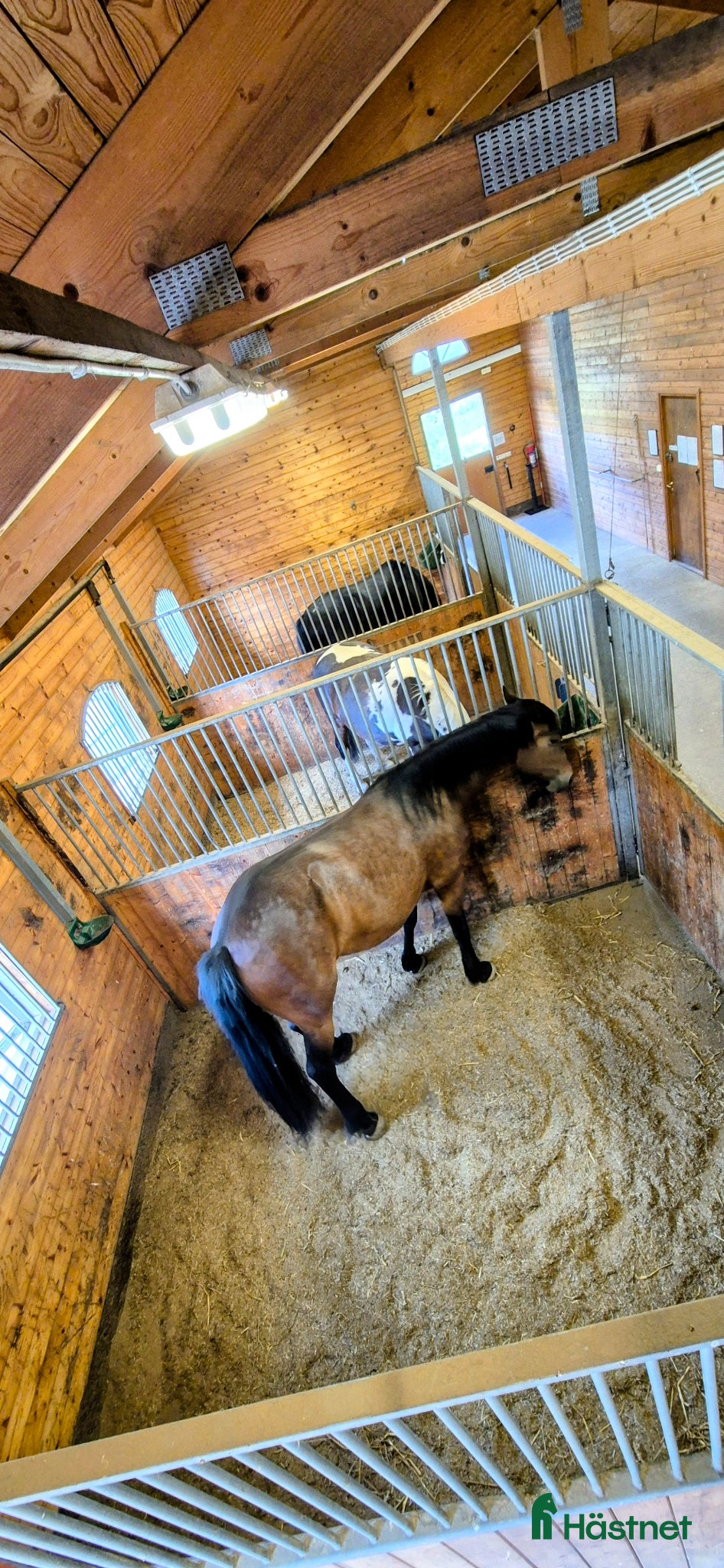  stallplats finnes: Stallplats i Tullinge för sto som klarar bete - Annons 9