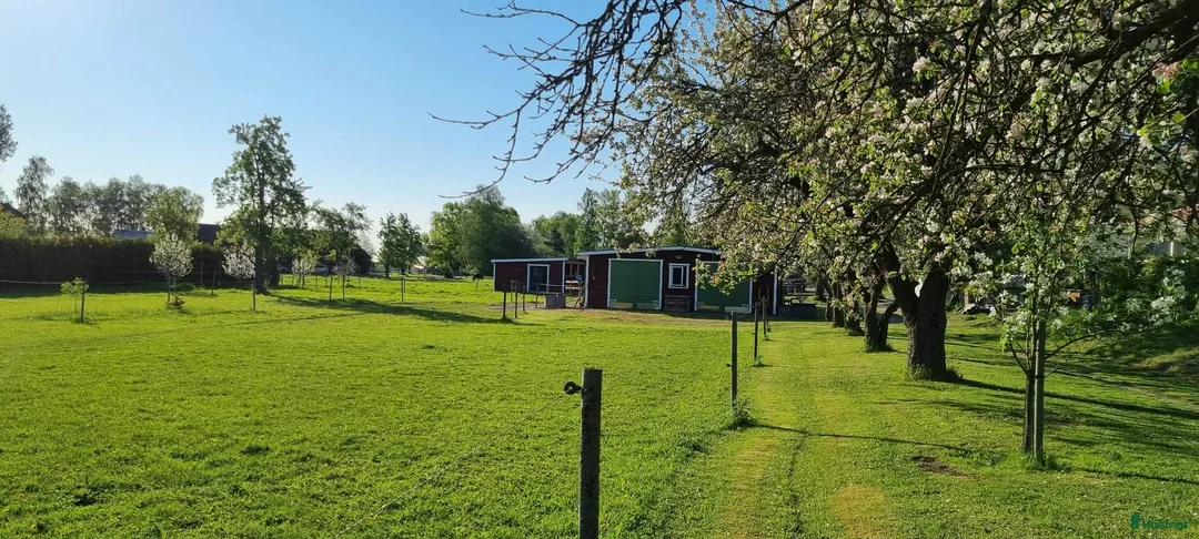  stallplats finnes: Stallplats Norrköping  i Norrköping - Annons 1